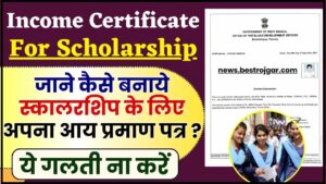 Income Certificate For Scholarship