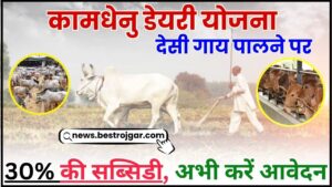 Kamdhenu Dairy Yojana 2024 : देसी गाय पालने पर मिलेगी 30% की सब्सिडी, अभी ऐसे करें आवेदन